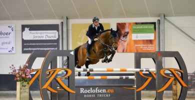 eldorado, stallion, hengsten, jumping, team nijhof