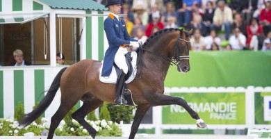 team nijhof, hengst, Johnson, stallion, dressage, hans peter minderhoud