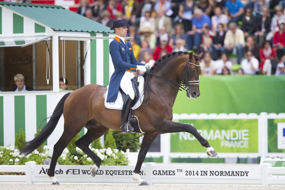 team nijhof, hengst, Johnson, stallion, dressage, hans peter minderhoud