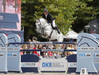 quality time, hengst, stallions team nijhof, jumping, jeroen dubbeldam