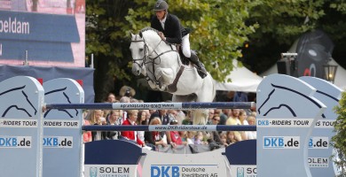 quality time, hengst, stallions team nijhof, jumping, jeroen dubbeldam