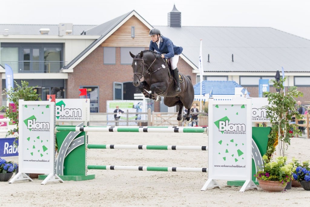 floris, stallion, hengst, team nijhof