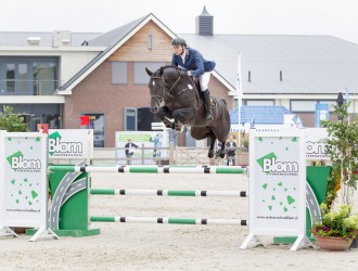floris, stallion, hengst, team nijhof