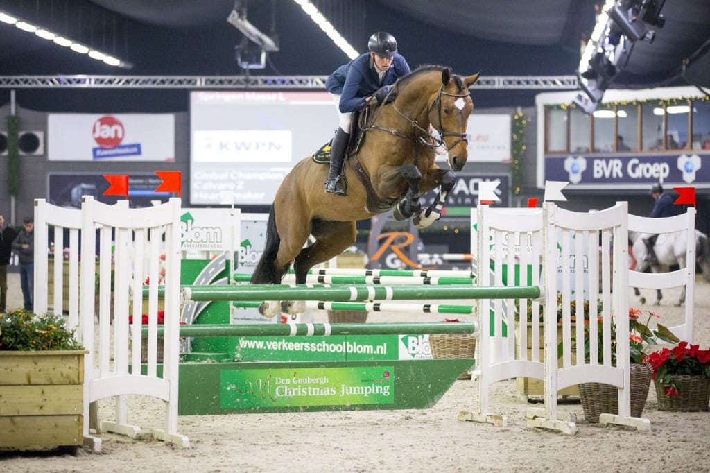 hengst, stallion, team nijhof, jumping, hengstenhouderij