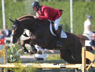 stallion, team nijhof, hengst, springen, jumping