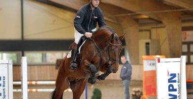 hengst, stallion, hengstenhouder, team nijhof, springen, hernandez