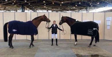 johnson, verdi, team nijhof, dressage, jumping, stallion, hengst