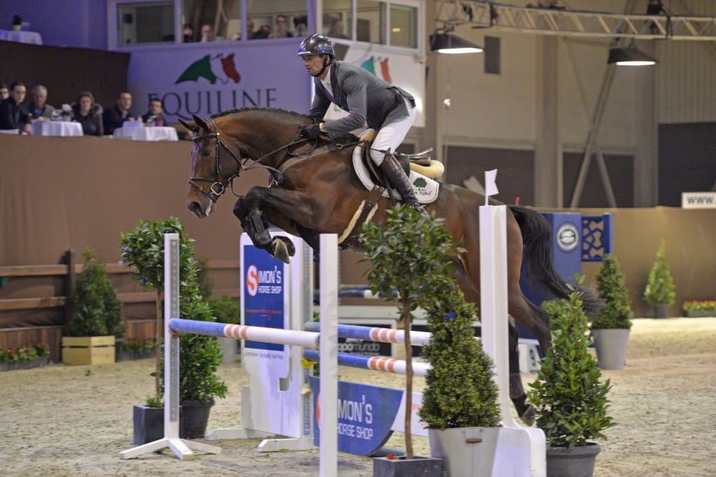 hengst, stallion, hengstenhouder, latour, team bijhof, dekhengst