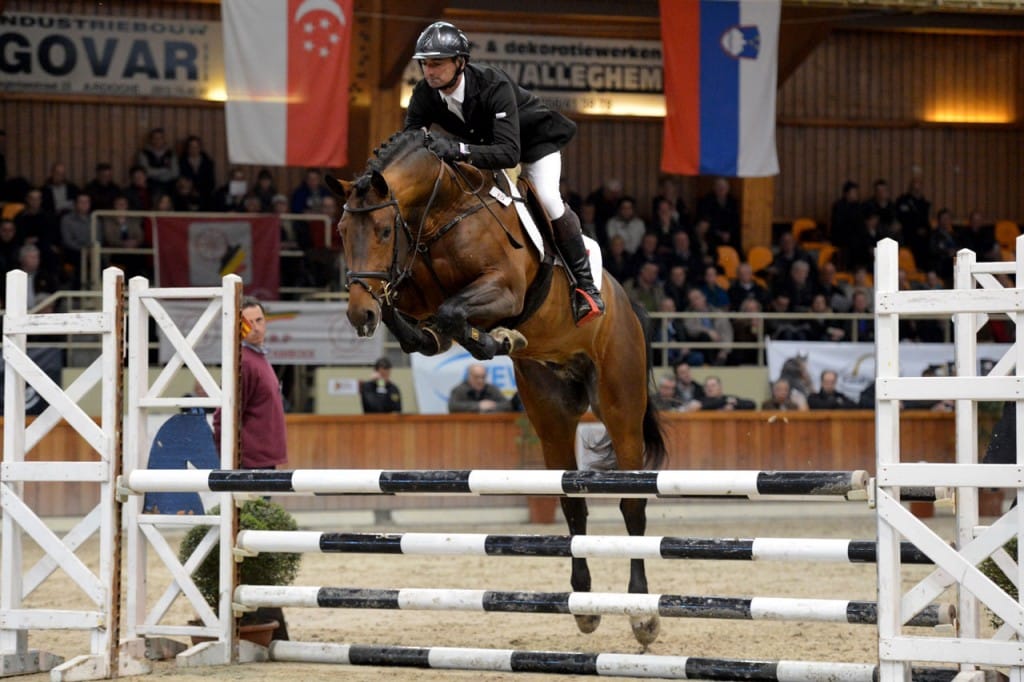 hengst, stallion, hengstenhouder, latour, team bijhof, dekhengst