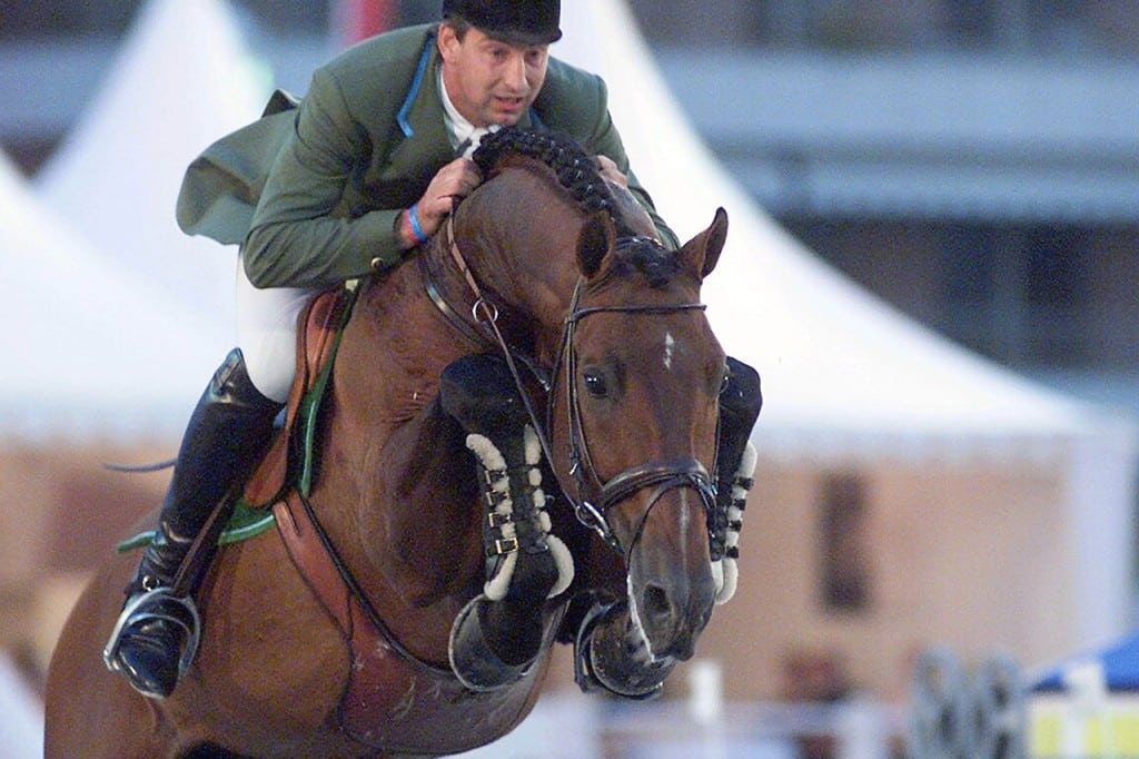 hengst, stallion, team nijhof, hengstenhouder, fokkerij