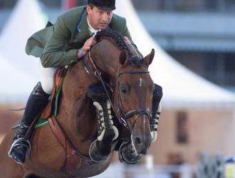 hengst, stallion, team nijhof, hengstenhouder, fokkerij