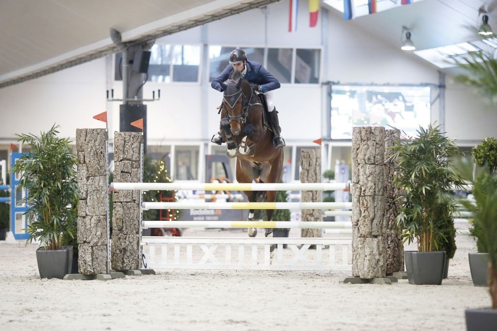 pilathago, team bijhof, hengstenhouderij, stallion, hengst