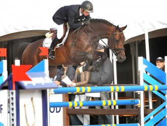 stallion, hengst, team nijhof, hengstenhouder, fokkerij