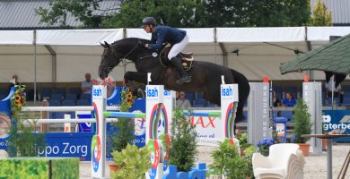 starpower, hengst, stallion, hengstenhouderij, fokkerij, team nijhof