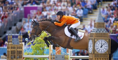 verdi, stallions, hengsten, jumping, team nijhof