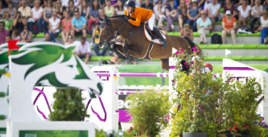 verdi, van der vleuten, olympische spelen, hengst, stallion, team nijhof, hengstenhouderij, fokkerij