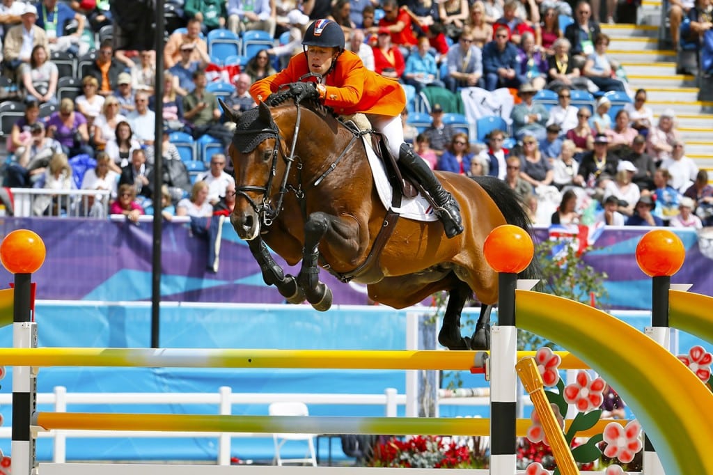 verdi, van der vleuten, olympische spelen, hengst, stallion, team nijhof, hengstenhouderij, fokkerij