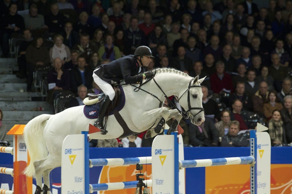 zacharov, hengst, stallion, hengstenhouderij, team nijhof