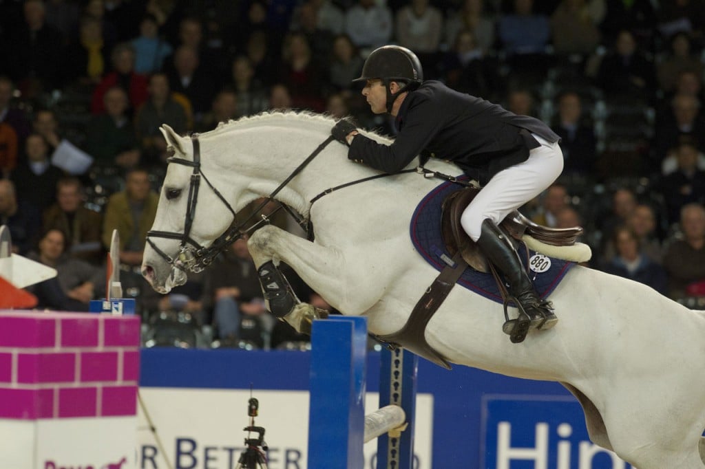 zacharov, hengst, stallion, hengstenhouderij, team nijhof