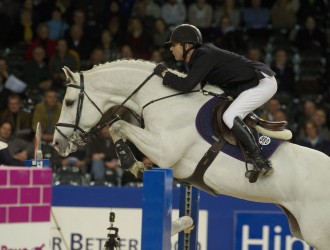 zacharov, hengst, stallion, hengstenhouderij, team nijhof