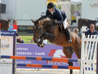 team nijhof, hengst, stallion