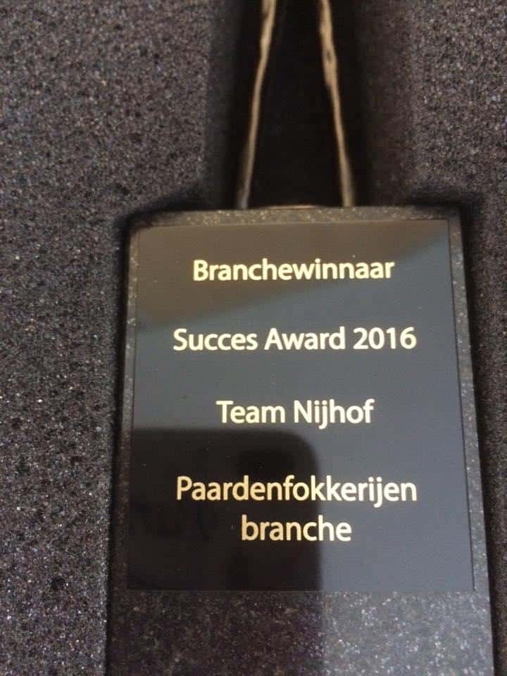 succes.award. 2016(2)