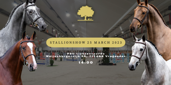 Stallionshow Team Nijhof in Vragender