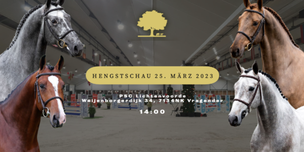 Hengstschau Team Nijhof in Vragender