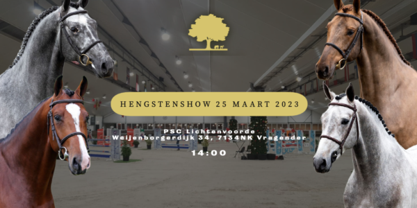 Hengstenshow Team Nijhof in Vragender