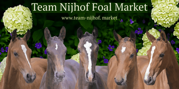 Team Nijhof Veulenmarkt 2025 is online