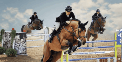 Hengstenbrochure 2026 beschikbaar