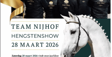 Hengstenshow 28 Maart